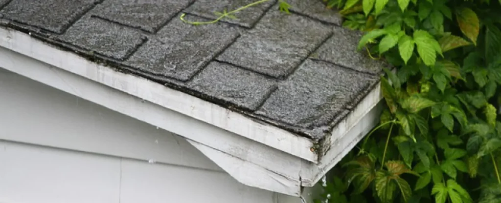 Common Roofing