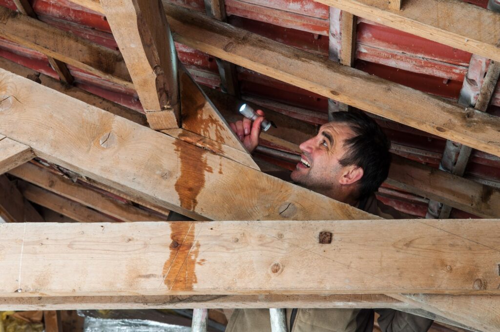 common roof issues