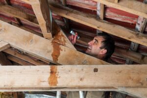 common roof issues
