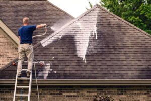 roof cleaning guide for orlando home owners